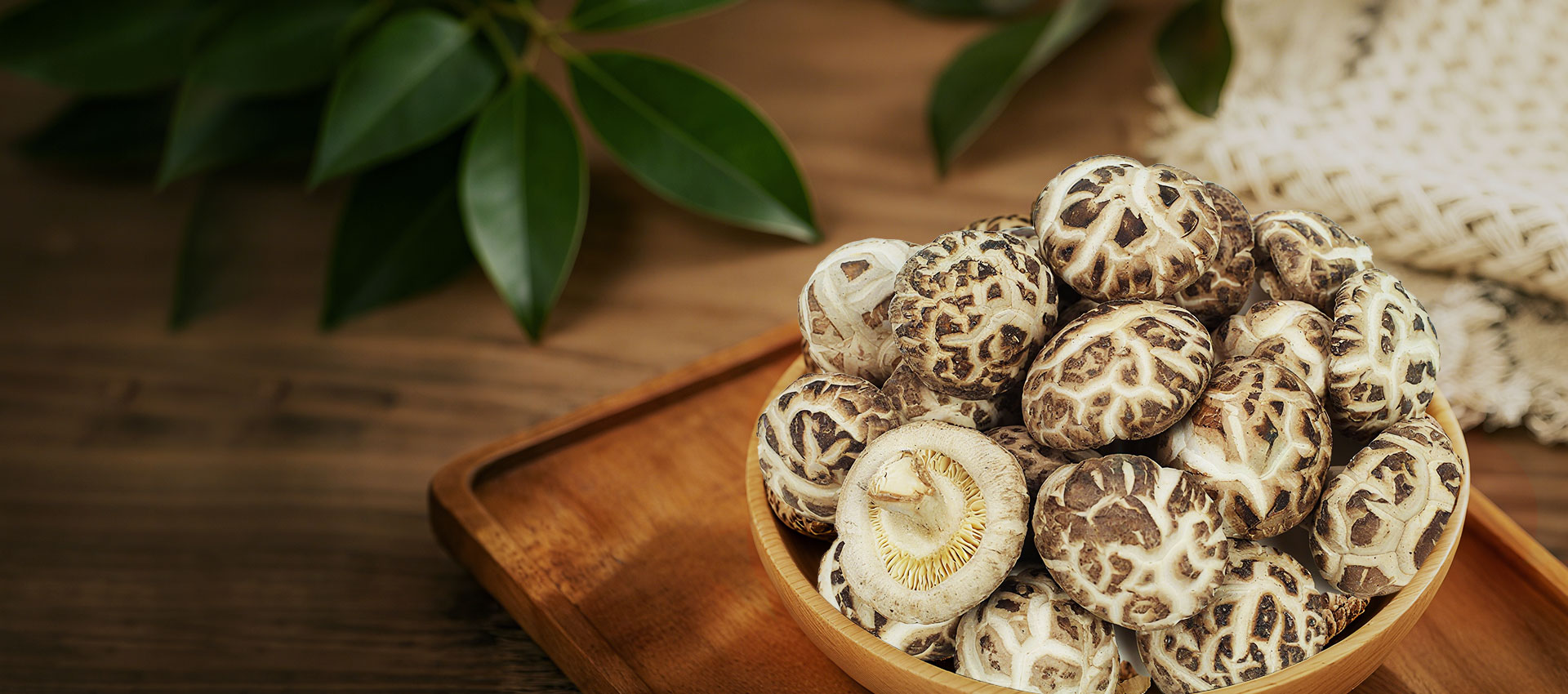 Hubei Fulongshan Food Development Co., Ltd.,