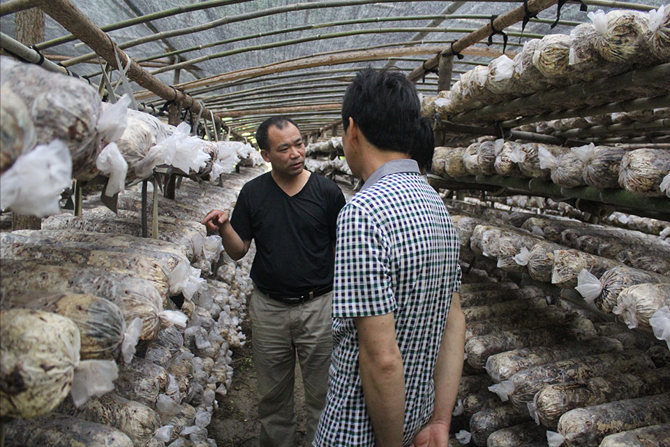 Hubei Fulongshan Food Development Co., Ltd.,